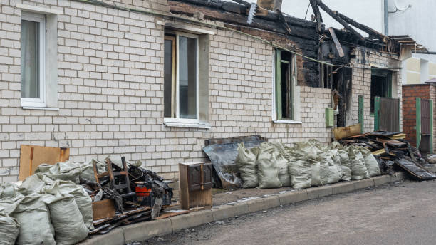 Professional Odor Removal technician working in Seffner, FL